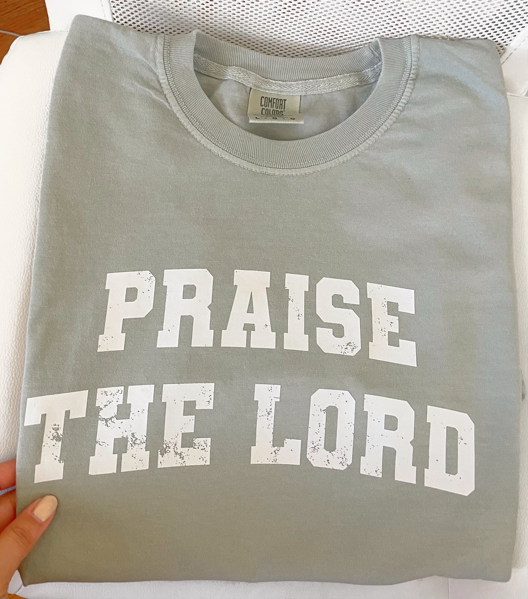 Praise the Lord | comfort colors T-shirt - Apparel for God LLC